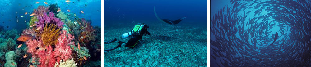 discover-indonesia-pic4