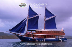 cajoma5-pic1