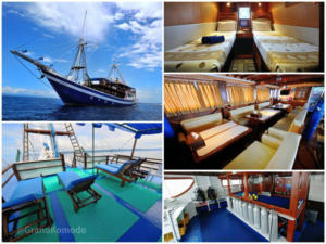 raja-ampat-explorer-pic13