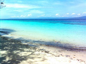 ambon-pic3
