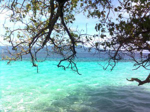 ambon-pic6