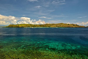 komodo-pic9